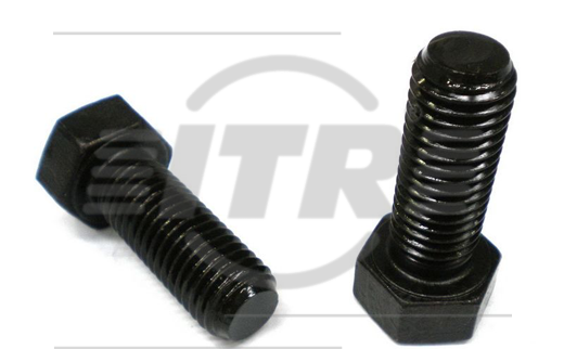 BOLT, 3/4 X 2