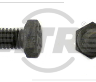 BOLT, 5/16X3/4