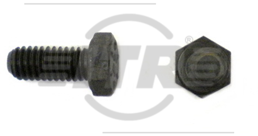 BOLT, 5/16X3/4