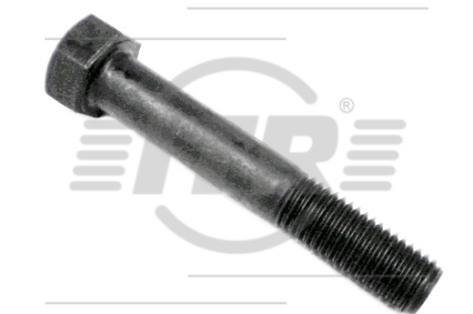 BOLT, 3/4X4.1/2