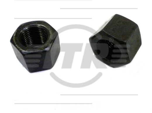 NUT, SEGMENT